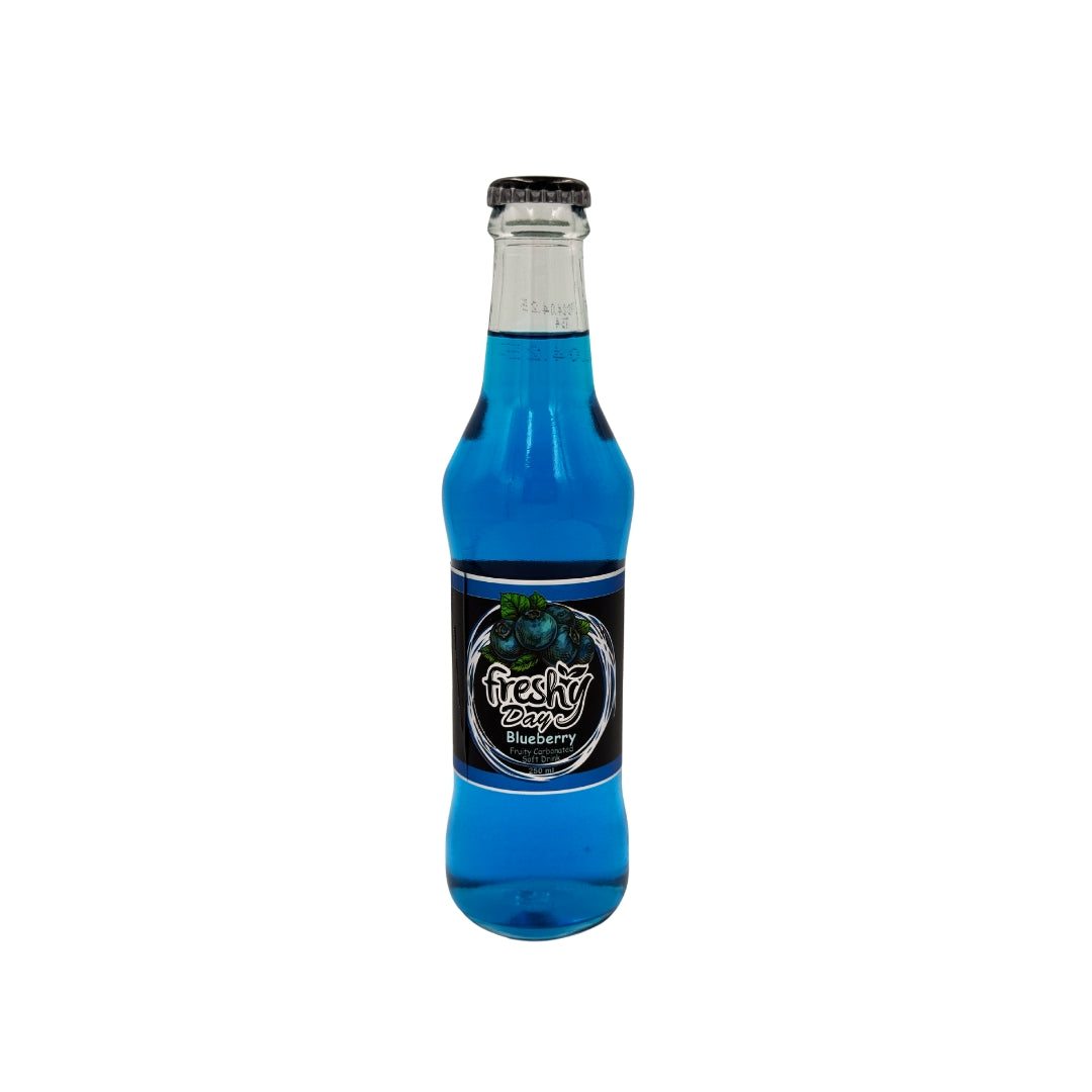 Freshy Day | Blueberry Soft Drink (250 ml)