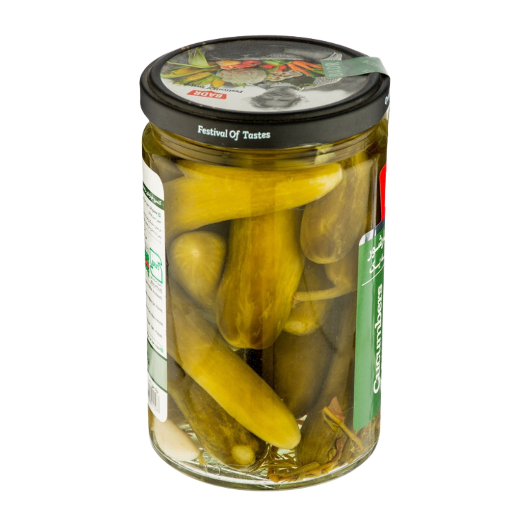 Badr | Pickled Cucumber (620 gr)